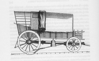 Ox Cart